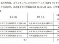 担保期限，保障债务履行的关键环节