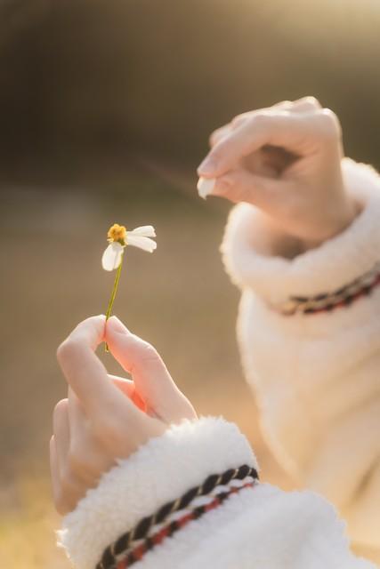 痴女家庭教师诱惑_乃亚痴女教师种子_当真由纪毒痴女教师