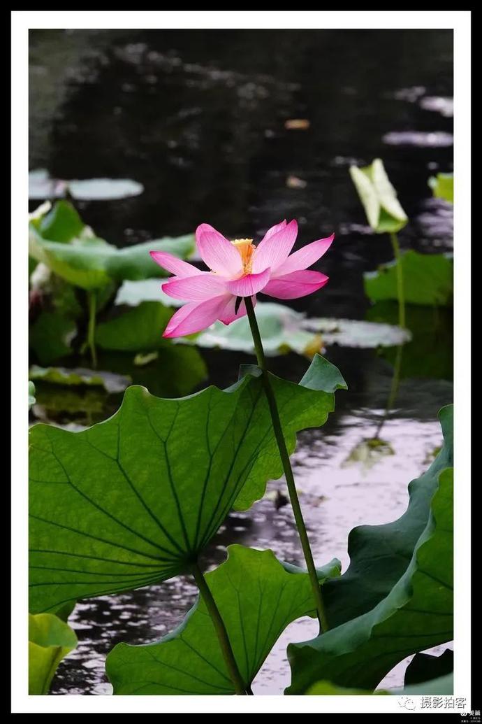 花痴女_花痴女是什么意思_花痴女孩是不是很随便